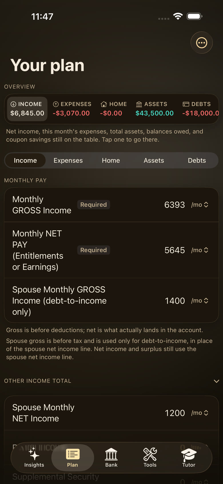 The Plan screen with sample data: an overview of income, expenses, assets and debts, then the Income tab with monthly gross income, monthly net pay and other income lines.
